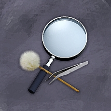 ꡼ No.016Υͥ / ޥ۸MMORPG֥ʥ饤פΦ¥ƥȤȡͭޥֶ͡С5Ĥ򻲲ü˥ץ쥼