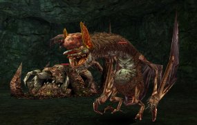 画像ギャラリー No.014のサムネイル画像 / 「イザナギオンライン」，夏の8大まつりキャンペーンの実施が決定