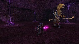 ꡼ No.005Υͥ / ֥ʥ饤סåץǡȤǥ٥륭åפ120ؤȰ夲