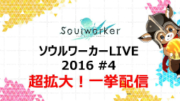 ꡼ No.004Υͥ / ֥פθ˥˥46ۿͽꡣ¶20̾ˤۿ̤ܶ