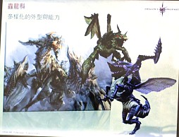 画像集#014のサムネイル/2012年，アエリアが満を持して贈る新作オンラインRPG「Dragon's Prophet」とは？　