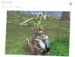画像集#016のサムネイル/2012年，アエリアが満を持して贈る新作オンラインRPG「Dragon's Prophet」とは？　