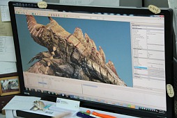 ꡼ No.012Υͥ / ԤοMMORPGDragon's ProphetפγȯRunewakerˬ䤷Ƥ