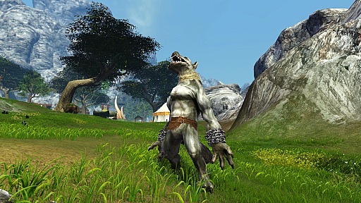 ꡼ No.037Υͥ / ԤοMMORPGDragon's ProphetפγȯRunewakerˬ䤷Ƥ