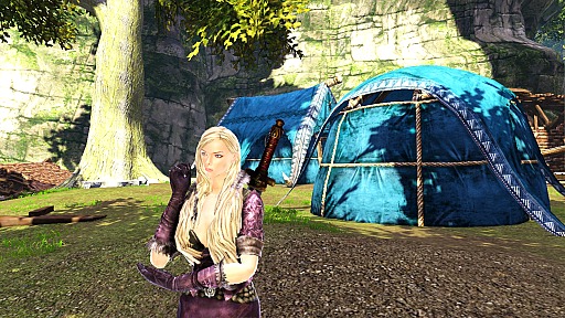 ꡼ No.043Υͥ / ԤοMMORPGDragon's ProphetפγȯRunewakerˬ䤷Ƥ