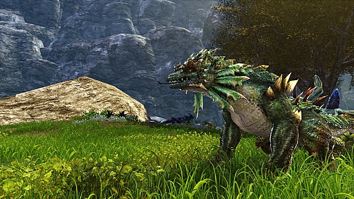 ꡼ No.050Υͥ / ԤοMMORPGDragon's ProphetפγȯRunewakerˬ䤷Ƥ