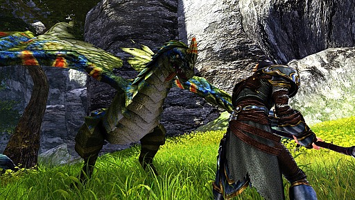 ꡼ No.057Υͥ / ԤοMMORPGDragon's ProphetפγȯRunewakerˬ䤷Ƥ