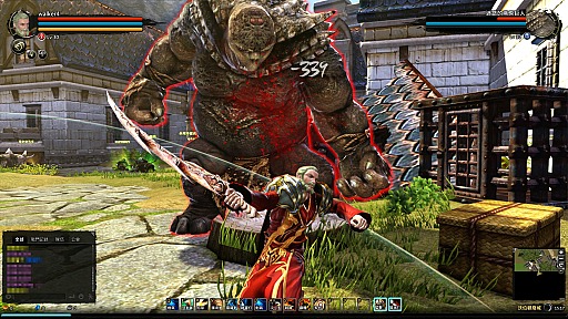 ꡼ No.060Υͥ / ԤοMMORPGDragon's ProphetפγȯRunewakerˬ䤷Ƥ