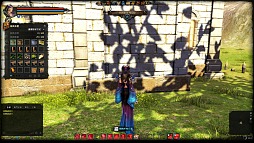 ꡼ No.063Υͥ / ԤοMMORPGDragon's ProphetפγȯRunewakerˬ䤷Ƥ