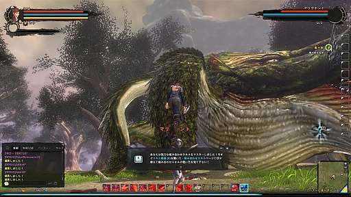 ꡼ No.008 | CBTϤ줿Dragon's Prophetץץ쥤ݡȡɥ饴ͤȤե󥿥MMORPG