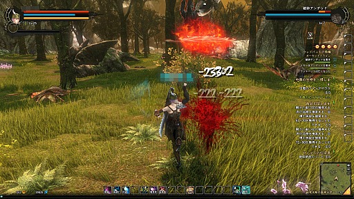 ꡼ No.012 | CBTϤ줿Dragon's Prophetץץ쥤ݡȡɥ饴ͤȤե󥿥MMORPG