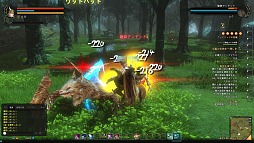 ꡼ No.014 | CBTϤ줿Dragon's Prophetץץ쥤ݡȡɥ饴ͤȤե󥿥MMORPG