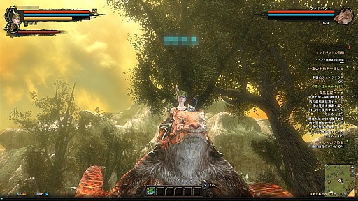 ꡼ No.037 | CBTϤ줿Dragon's Prophetץץ쥤ݡȡɥ饴ͤȤե󥿥MMORPG