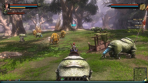 ꡼ No.043 | CBTϤ줿Dragon's Prophetץץ쥤ݡȡɥ饴ͤȤե󥿥MMORPG