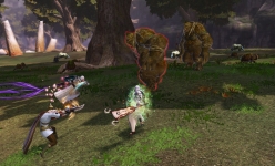 ꡼ No.001Υͥ / Dragon's ProphetפΥץ¥ƥȤȡȥƥʤɤνȤᤫޤǳǤȼΥƥ