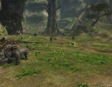 ꡼ No.004Υͥ / Dragon's Prophetסץ쥤䡼ͭϡ֥ˡפ䡤󥸥֥ɥ饴붭פʤɤοƥĤ