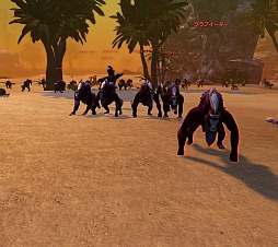 ꡼ No.019 | Dragon's Prophetפϡֱʽפܻؤե󥿥RPGĥåդʹ¿ƱʽǤ뤽ͳ