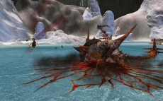 ꡼ No.013Υͥ / Dragon's ProphetסƥġפǻѤǤ֥Хȥ饤ɥפξܺ٤餫