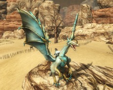 #015Υͥ/Dragon's Prophetס緿åץǡȤǿƥ4Ĥɥ饴ε󥫥פо