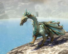 #016Υͥ/Dragon's Prophetס緿åץǡȤǿƥ4Ĥɥ饴ε󥫥פо