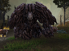 #006Υͥ/Dragon's ProphetסǿåץǡȤǿƥġ֥ɥ٥ȡס֥ȥ쥸㡼ϥȥ٥ȡסιԾ͡פ