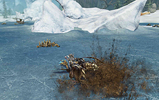 #020Υͥ/Dragon's Prophetסѡɥ饴󥷥ƥॢåץǡȤǿƥġ֥ɥ饰꡼פ䵳襹֥ɥ饴Хȥ饤ɥפ