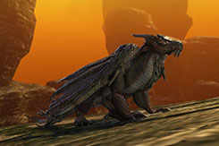 ������#002�Υ���ͥ���/��Dragon��s Prophet�ס��ɥ饴������˴ؤ��륢���ǥ����ϥ����ƥ���罸