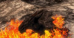 画像集#012のサムネイル/「Dragon's Prophet」の領地戦に新要素が登場。新ドラゴンの名前も募集中