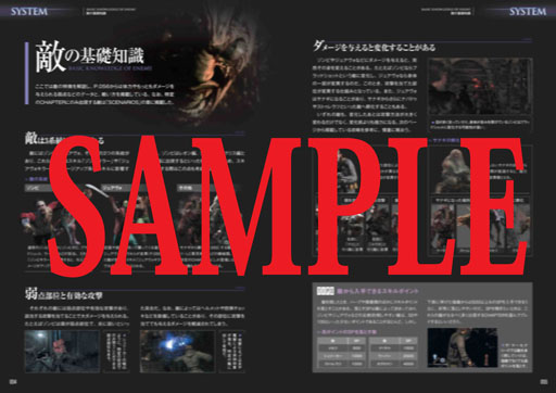 ���������꡼ No.001�Υ���ͥ������ / 10��4����ȯ�䤵���֥Х����ϥ�����6�׸�����ά�ܤλ��̥���ץ뤬����