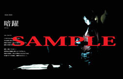 ꡼ No.007 | ֥Хϥ6סDragon's DogmaפνҤ9ȯ䡣̥ץ뤬