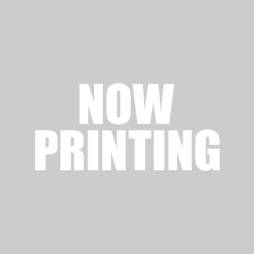 画像ギャラリー No.003のサムネイル画像 / 「バイオハザード ダムネーション」「バイオハザード6」のサントラCDと「大神」のアレンジCDが発売決定