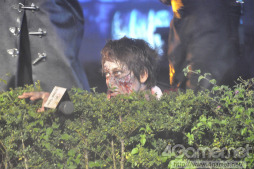 ���������꡼ No.007�Υ���ͥ������ / ��ǡ�饯���󥷥ƥ��ؤ����Ƥ�������ޥ����ѡ����ǥ٥å��������䶫������USJ�ϥ��������󡦥ۥ顼���ʥ��ȡסߡ֥Х����ϥ����ɡץץ�ӥ塼��ݡ��� 