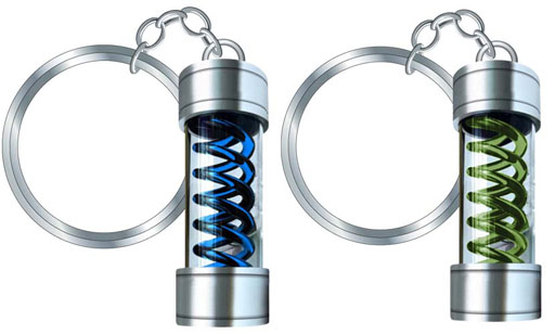 ���������꡼ No.016�Υ���ͥ������ / TGS 2012��������䤵�줿�֥Х����ϥ�����6�ץ��å��ΰ������䤬��������