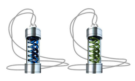 ���������꡼ No.017�Υ���ͥ������ / TGS 2012��������䤵�줿�֥Х����ϥ�����6�ץ��å��ΰ������䤬��������