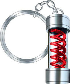 ���������꡼ No.020�Υ���ͥ������ / TGS 2012��������䤵�줿�֥Х����ϥ�����6�ץ��å��ΰ������䤬��������