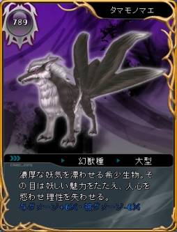 ꡼ No.008 | ARK FRONTIERץ凉󤬼ʡޤʤɤо