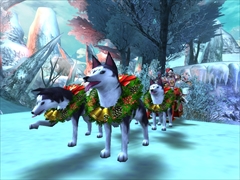 ꡼ No.006 | ARK FRONTIER -ɺή-פεꥤ٥Ȥȥƥबо