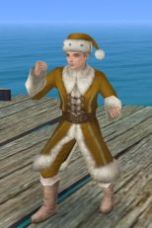 ���������꡼ No.008�Υ���ͥ������ / ����ҳ����� Online�ײ��������������������Xmas���٥�Ȥ�11���˳���