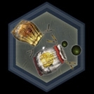 ꡼ No.022Υͥ / ƻ˲ФĻ񤤹ߤ롣ֿԢ̵ Onlineס719緿åץǡȡRevolution 111Ƥǿʻáּפи