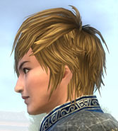 画像ギャラリー No.002のサムネイル画像 / 「真・三國無双 Online」美容やレア家具の割引キャンペーンを実施中