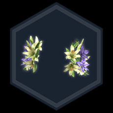 ꡼ No.006Υͥ / ֿԢ̵ Online ζסåץǡȡRevolution 12פ1Ƥ»ܡʥꥪáסɤʤɡ¿οǤɲ