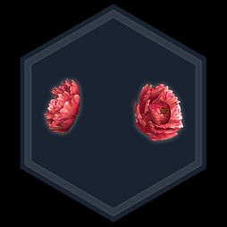 ꡼ No.005 | ֿԢ̵ Onlineץåץǡȡ¹˴פ20˼»