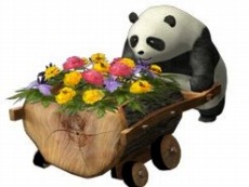 ꡼ No.005Υͥ / ֿԢ̵ Online ζפκǿåץǡȡէ פǰ٥ȤⳫŤ