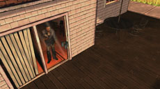 ꡼ No.008 | ֥󥰡ǥåɡס͸꡼Ⱦ󥿥νв񤤤Τä餫