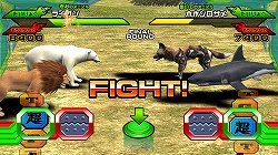 ꡼ No.007 | AOU2012ϡɴ 졼ȥ˥ޥ륫פȯɽѴߥߥåɥʥ ޥޥ塼 4夬äХʥॳॹ֡