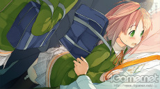 ꡼ No.013Υͥ / PCADV֤ޤäƤפȯ䡣祳ɤ2ǯ˿ʪ줬Ϥޤ