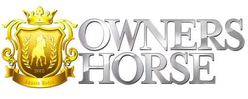 画像ギャラリー No.004のサムネイル画像 / GI「未勝利馬」で頂点を目指せ! 競走馬リアルカード連動型ゲーム 「オーナーズホース」で,6月30日に4Gamer Cup開催