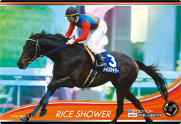 ꡼ No.004 | ֥饦ϥ֥ʡۡ3Ƥ1123ȯ䡣β®Ϥ̾ϡˤϤо