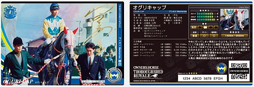 ꡼ No.008Υͥ / лҤΥ꡼Ӥäꡪ ֥ʡۡ ֥åɥ磻פˤϥİץƥо졣ץ쥼Ȥ⤢뤫ͷǤߤƤ