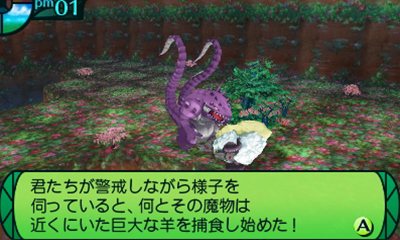 ꡼ No.013Υͥ / µIV εץץ쥤䡼εȤ볹ֺǲ̤Ƥγ륷פ䡤3ĤοȤħʤɤҲ